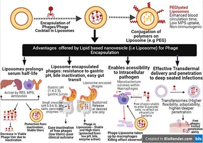 Nanotechnology Based Approaches in Phage Therapy: Overcoming the Pharmacological Barriers